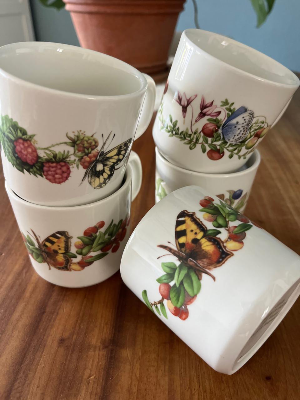 Mokken Marjolein Bastin