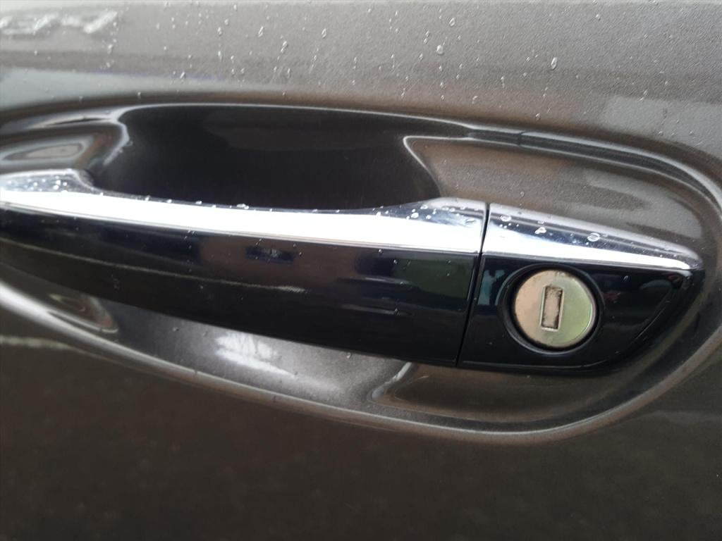 Citroen Grand C4 Picasso 130pk s&s business 7persoons trekhaak | apple carp