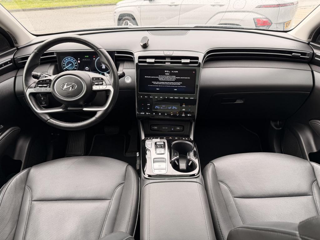 Hyundai Tucson 1.6 t-gdi hev premium sky | full options | navi | elek.koffe