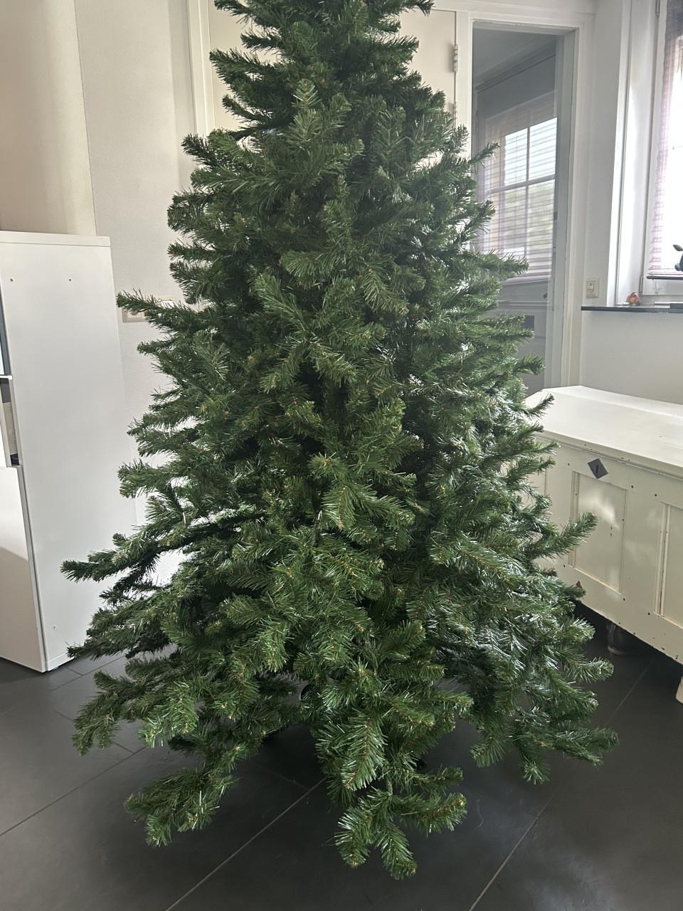 Kerstboom Gross Clockner 2.15 hoog 1,50 breed Triumph tree Intratuin