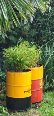 Bamboe in vat