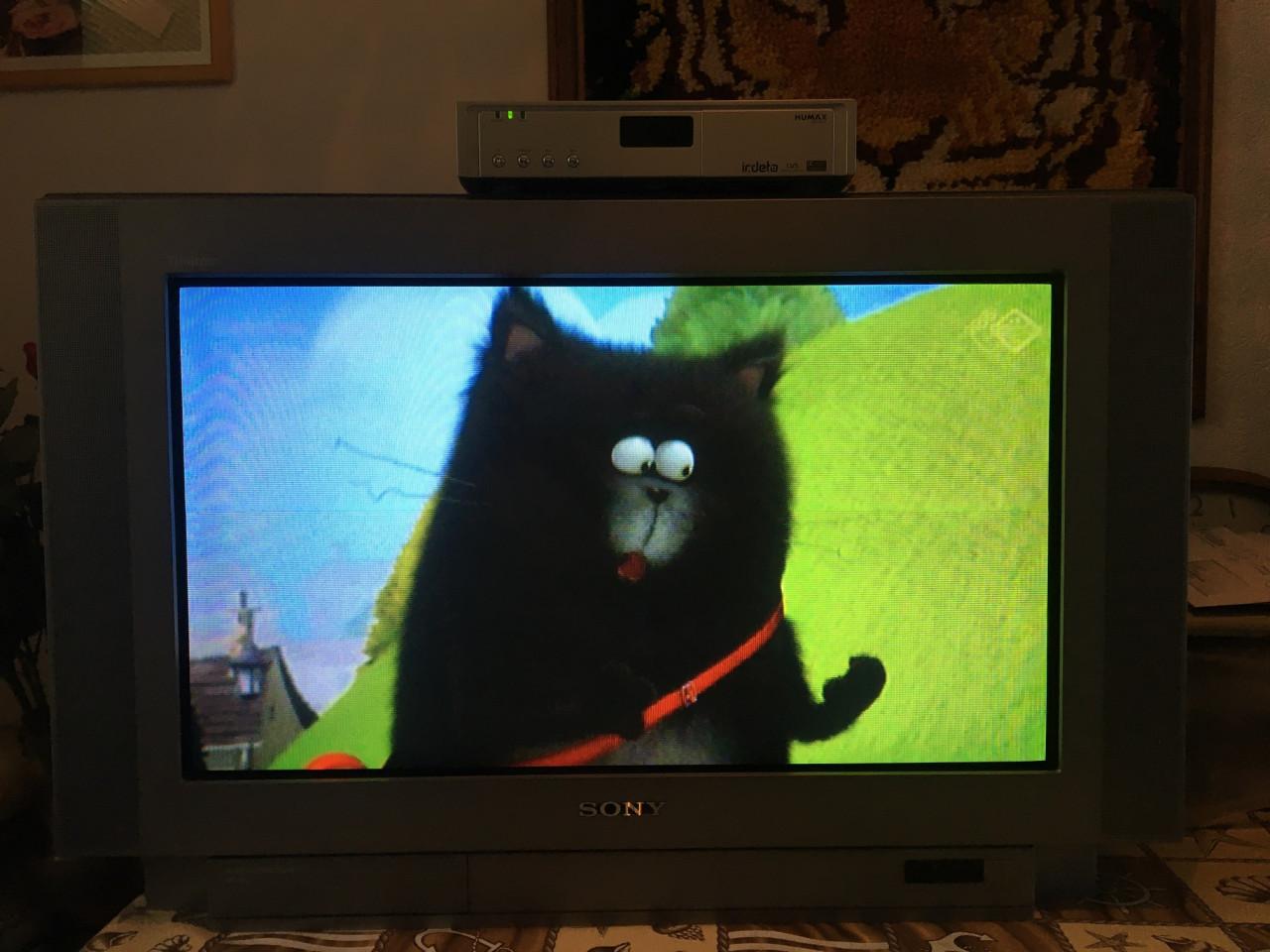 SONY Trinitron 100 HZ kleur TV -kastmodel