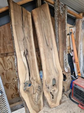 3 walnoot schaaldelen leuk voor epoxy