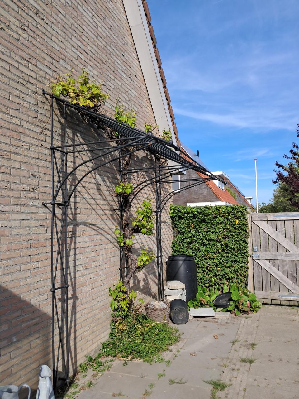 Stalenbuis pergola