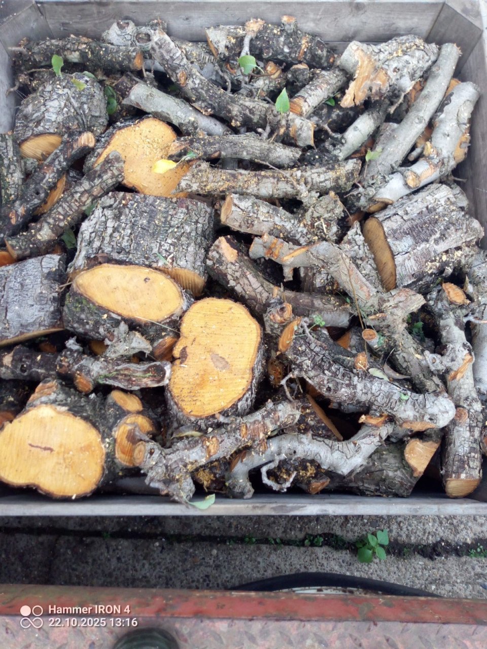 Open haardhout peren pas gerooid