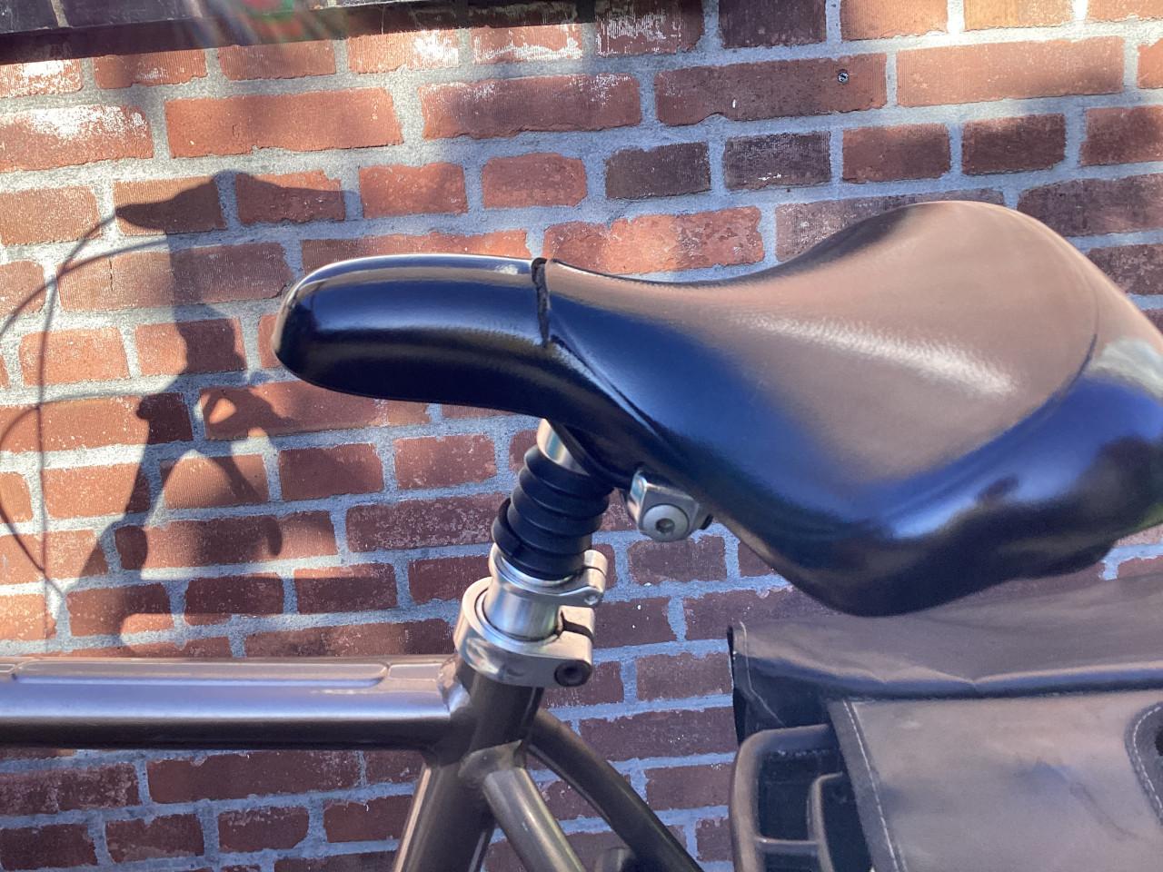 Gazelle heren fiets  orange extra