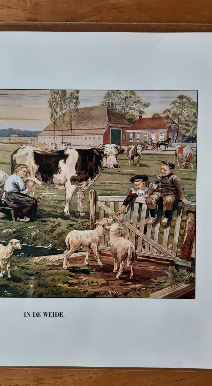 Prent Ot & Sien in de weide  Tekenaar Jetses, Afm. 24 x 30 cm