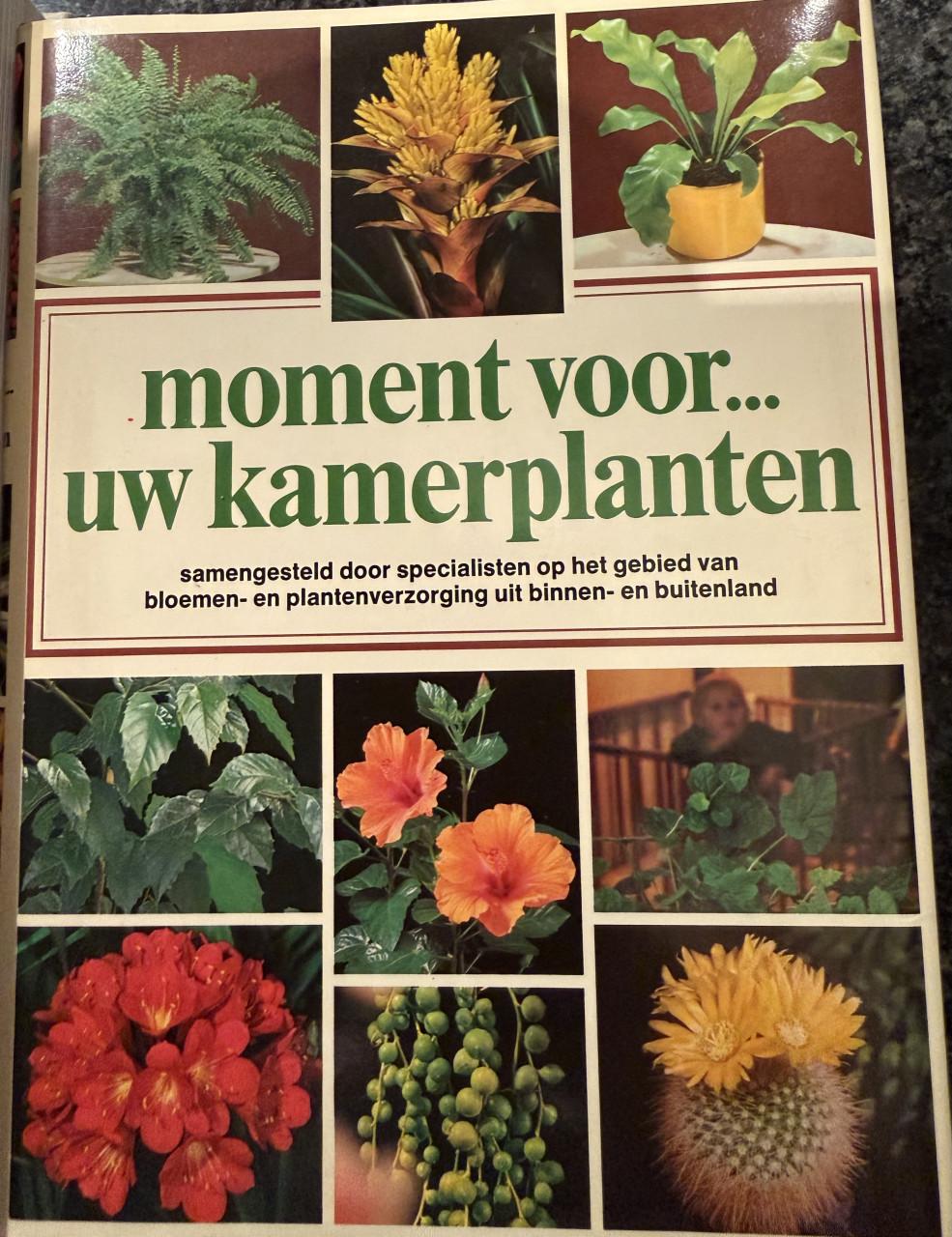 3 perfecte boeken voor 10 euro. Allemaal harde kaft.