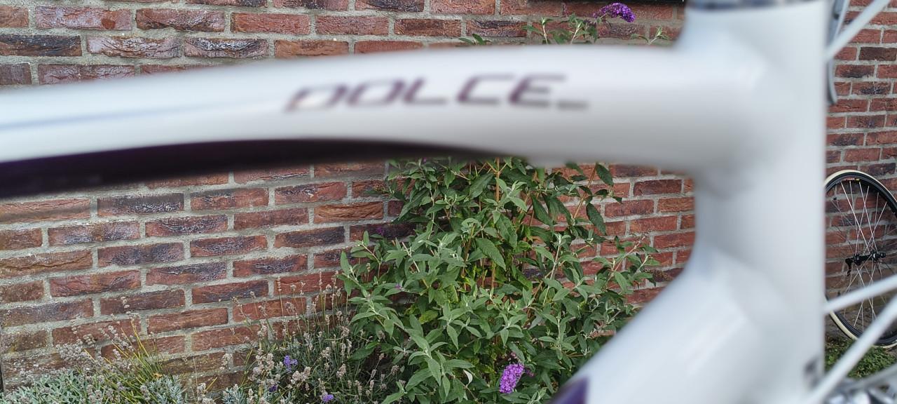 Dames Racefiets Specialized Dolce Sport