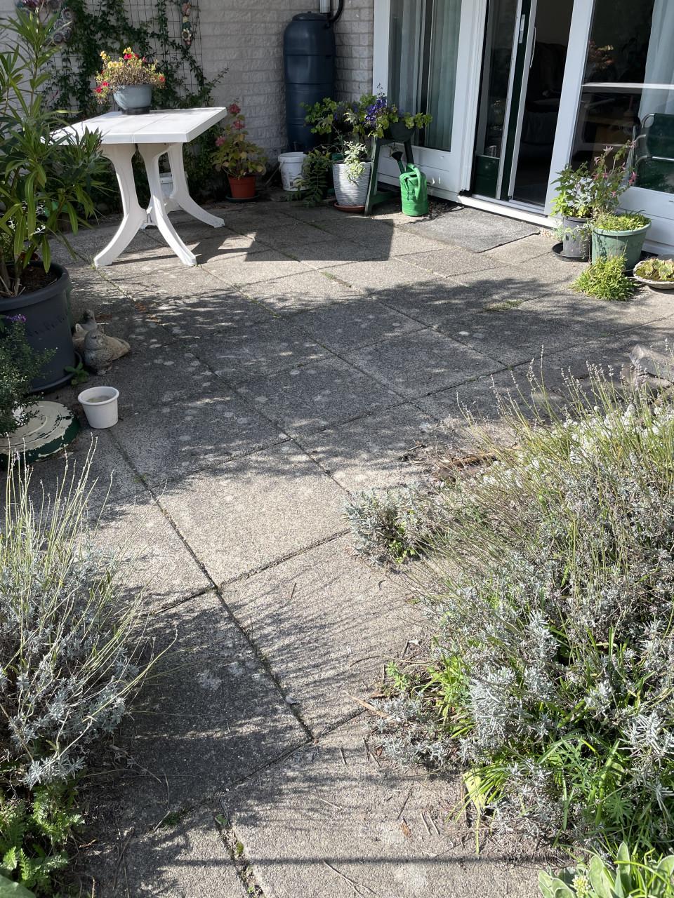 Gratis 20 Betontegels 50x50cm