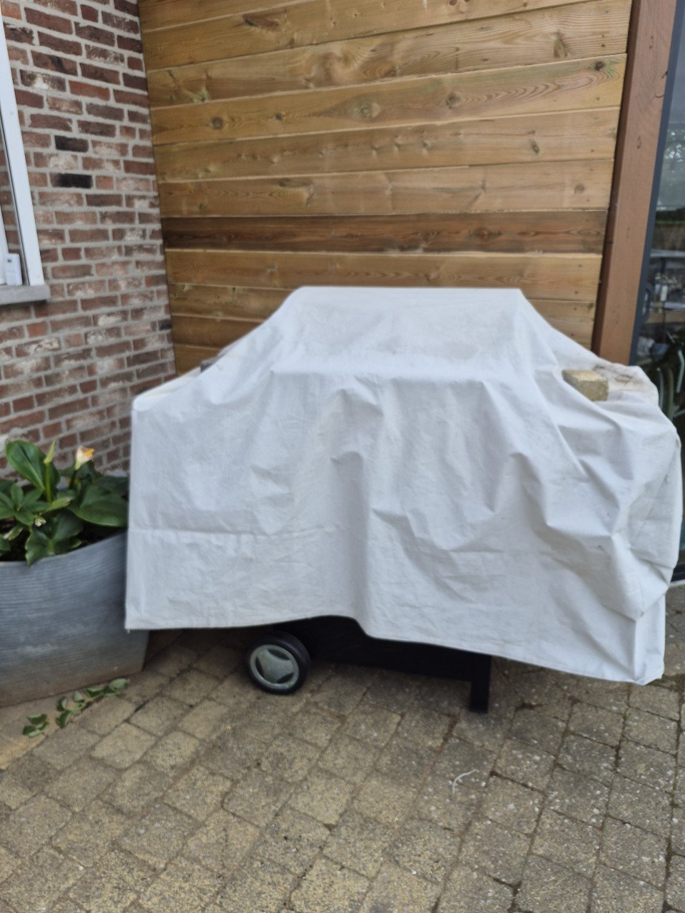 Gas barbecue