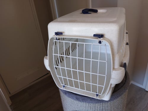 Dagelijkse benodigdheden voor katten