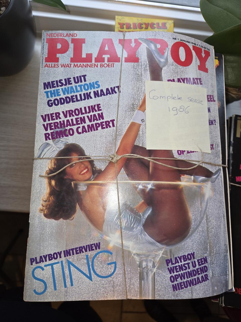 Vintage playboys complete series