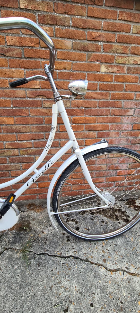 Gazelle Basic 28"
