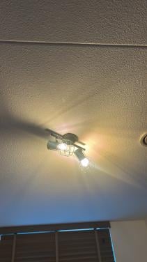 Plafond lampen
