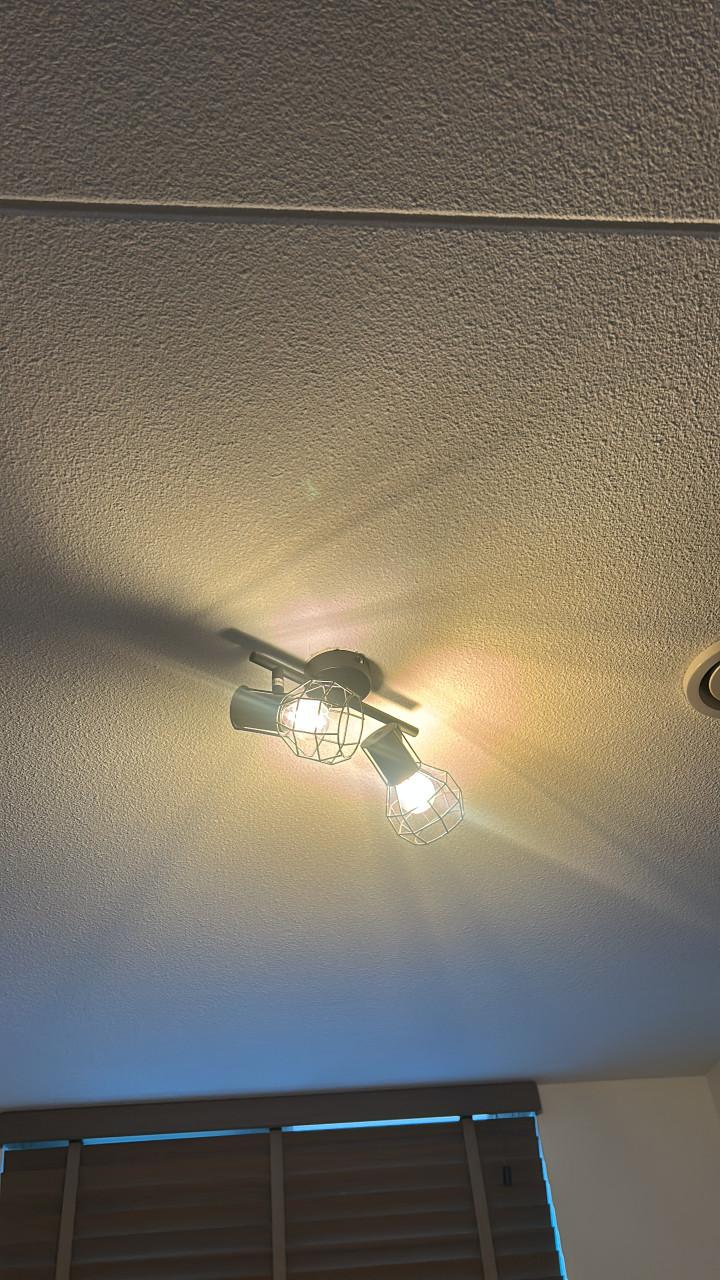 Plafond lampen