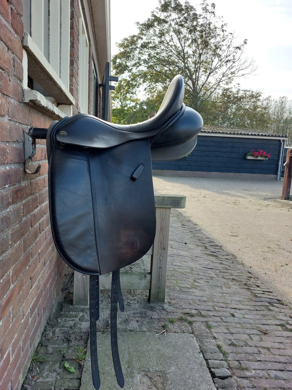 Dressuur zadel