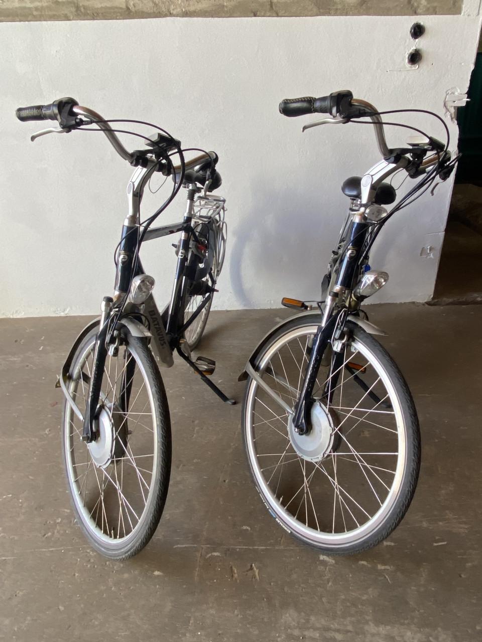 Elektrische fietsen Batavus