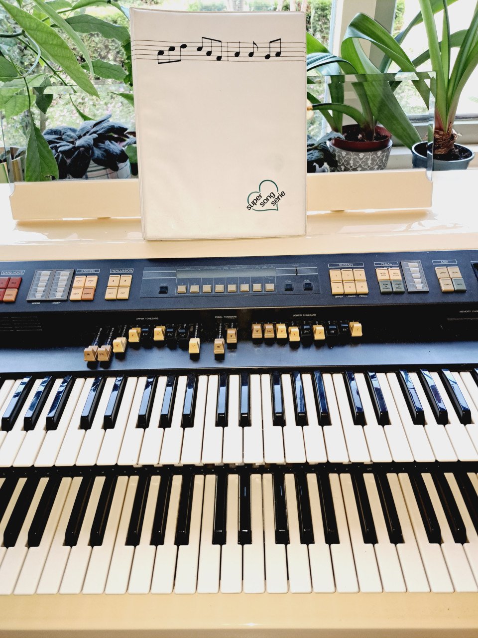 Hammond Orgel CX2000