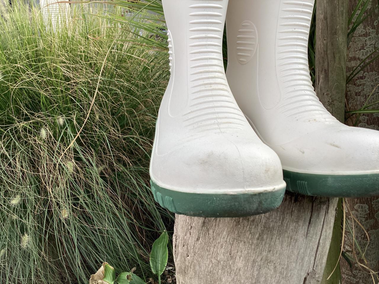DUNLOP Werklaarzen. Met stalen neus