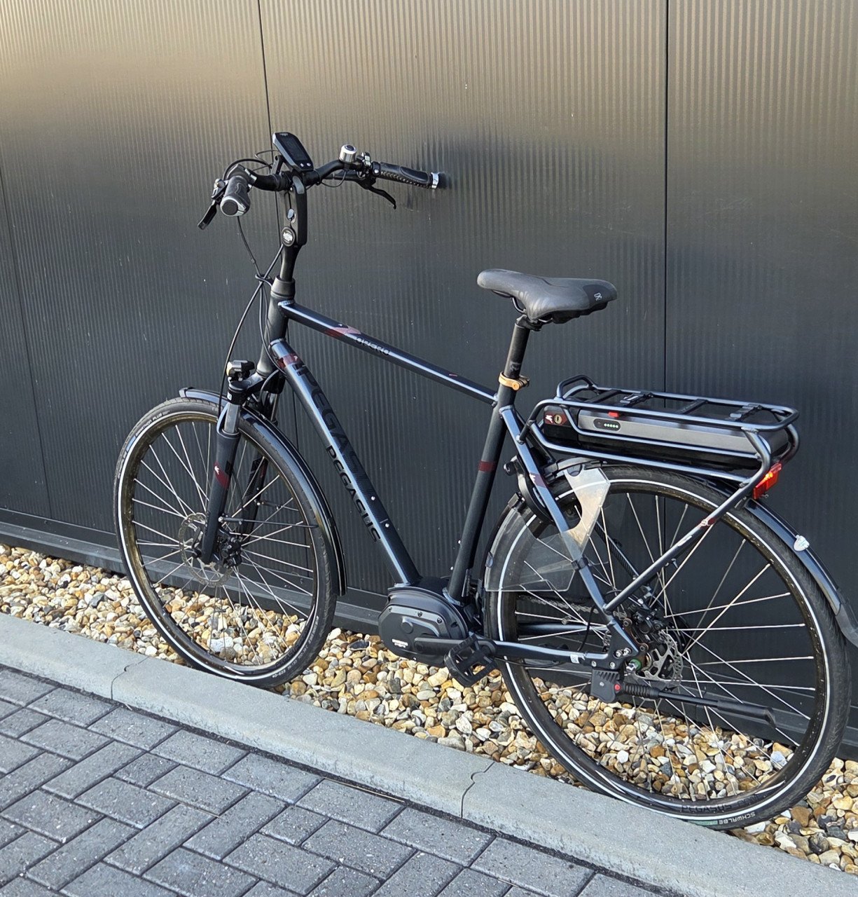 Mooie Pegasus OPERO Shimano Di2 Anniversary Edition ebike 58cm