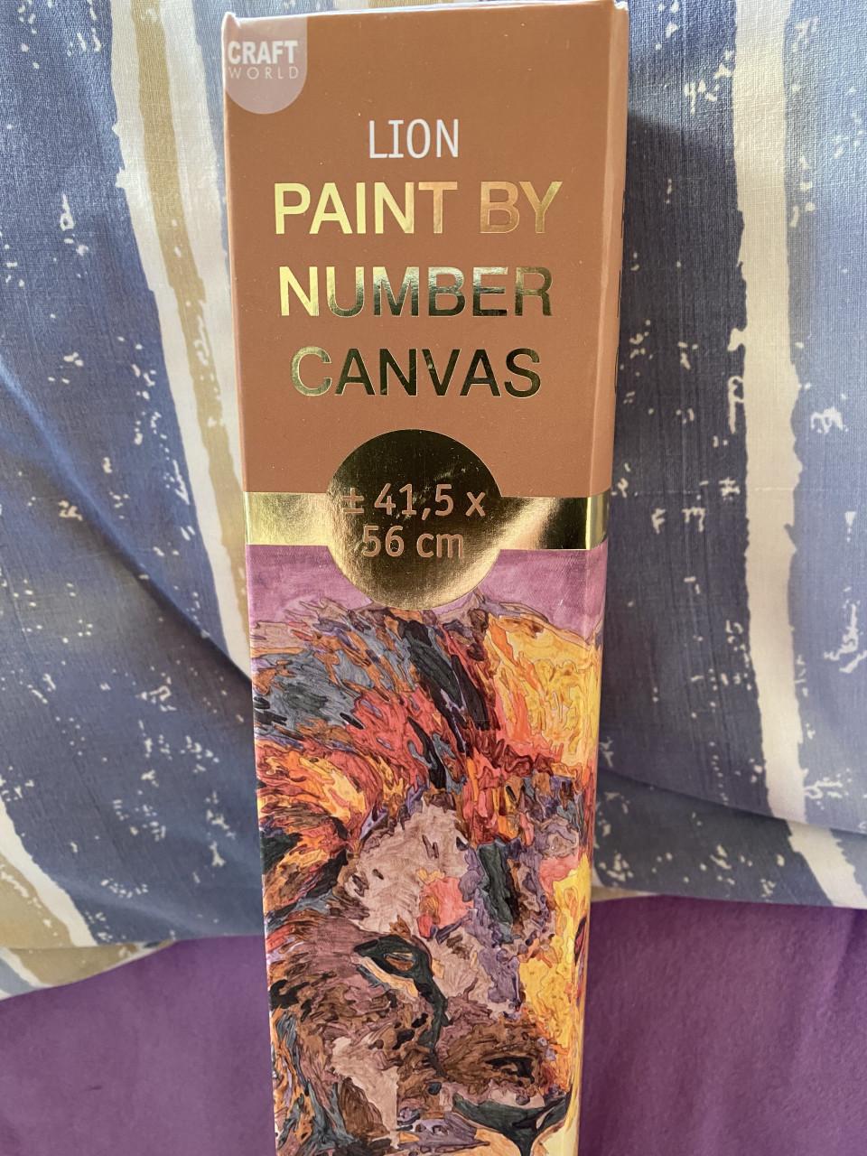 Leeuw- schilderij-Paint by number