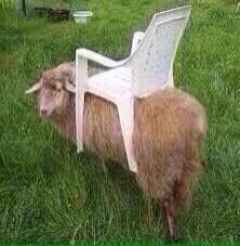 Gevraagd zitmaaier werkend of met werk aan