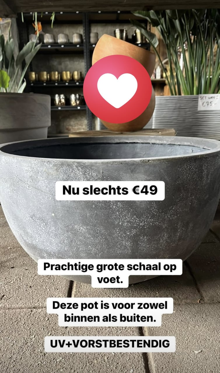 GOEDKOPE BUITEN+ BINNEN POTTEN