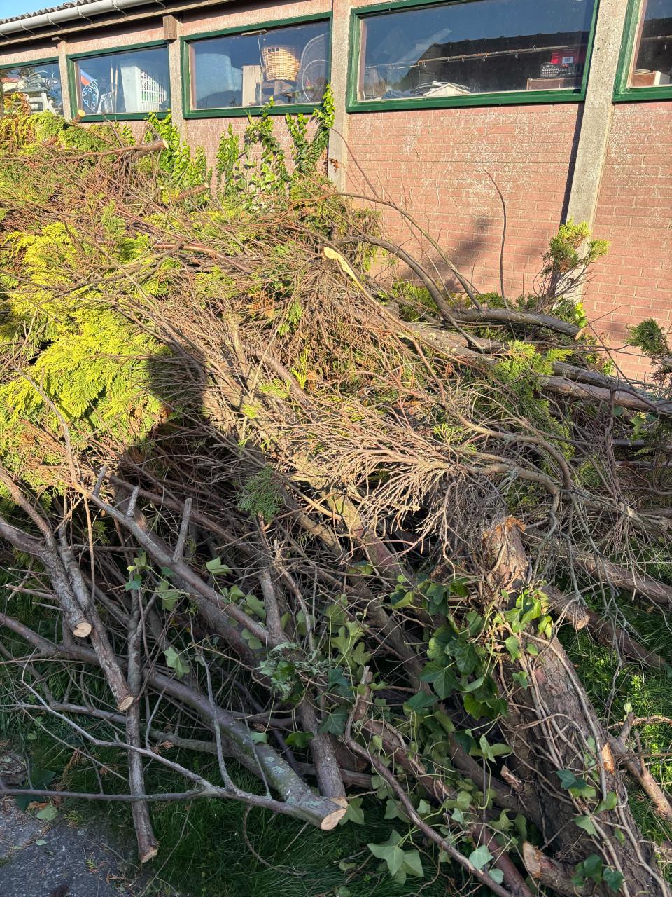 Gratis haardhout