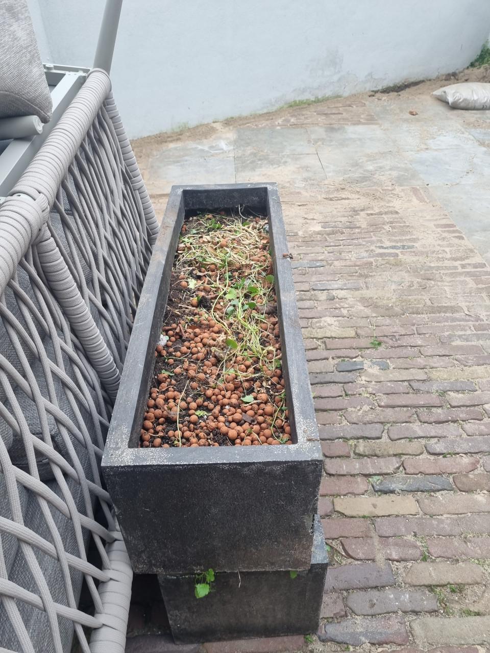 Gratis bloembakken ophalen