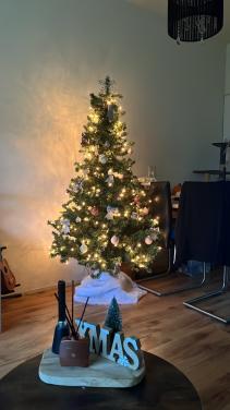 Kunst kerstboom MOET WEG