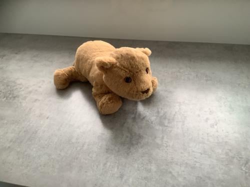 Ikea Leeuwenwelp Knuffel