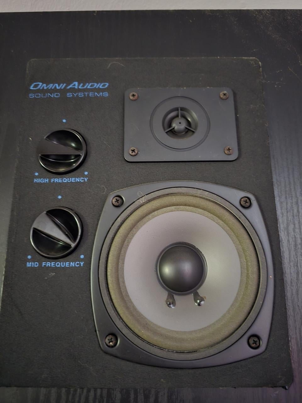 Omni audio speakers