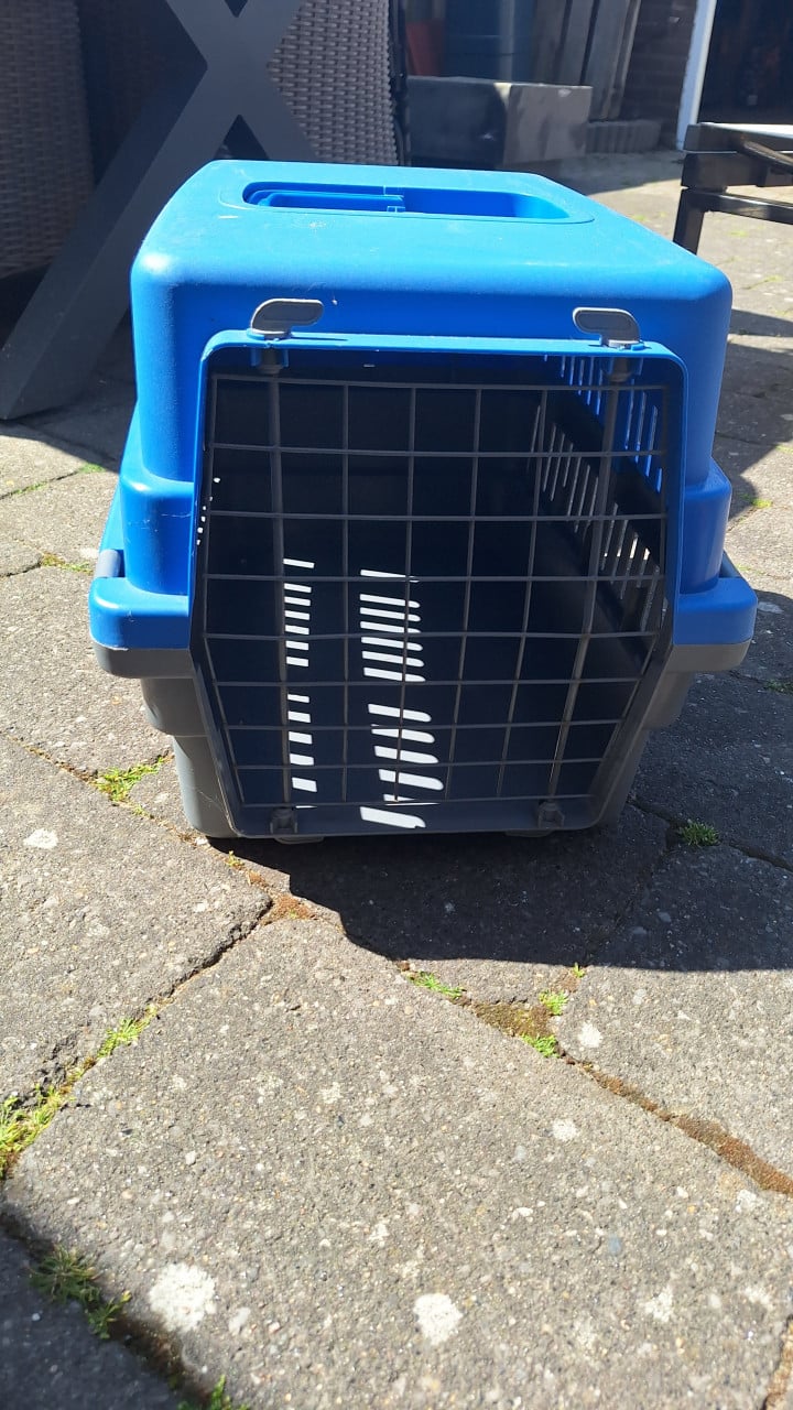 Katten reismand