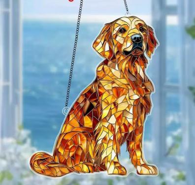 Raamhanger golden retriever