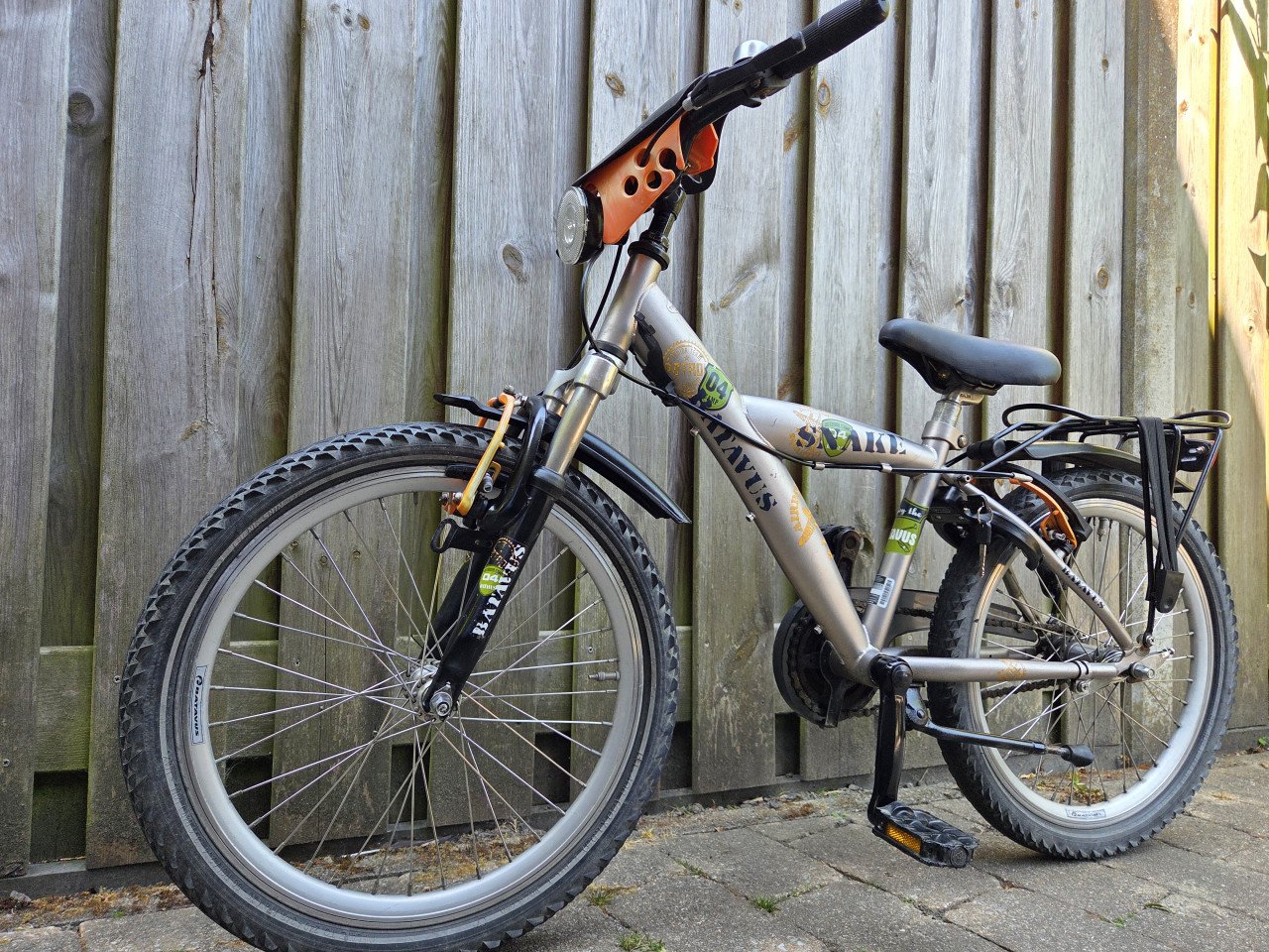 Batavus Snake 20 inch