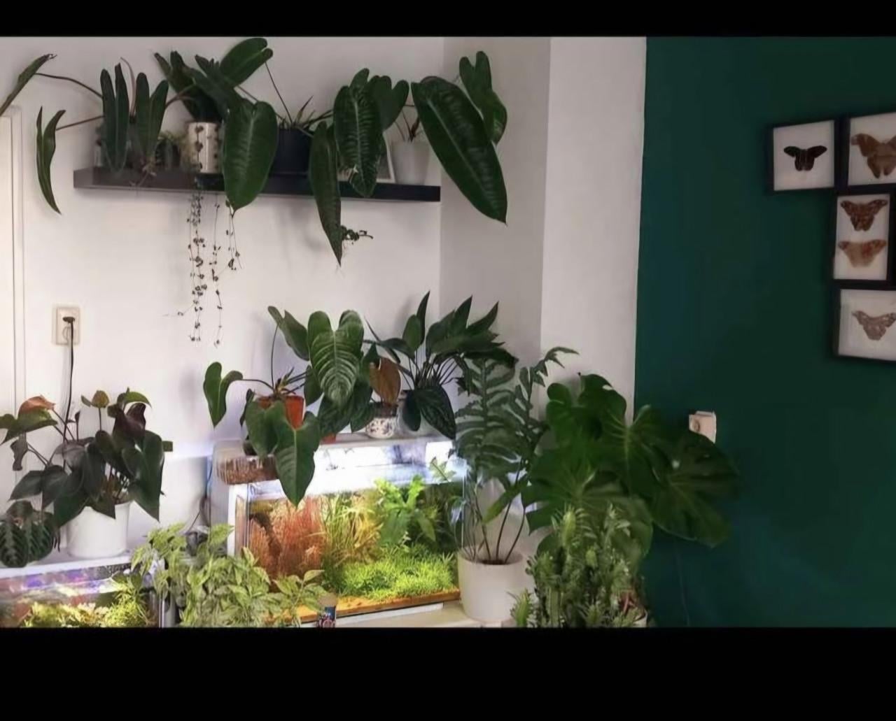 Aquarium