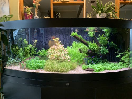 Aquarium