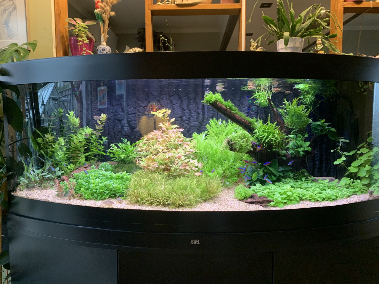 Aquarium