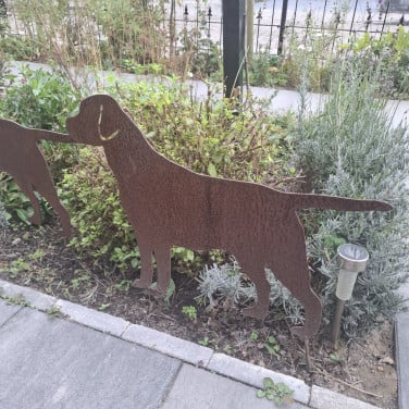 Labrador voor in de tuin