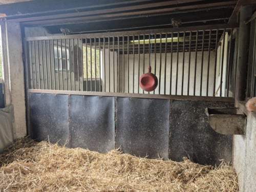 Paardenstal - staldeuren en tussenwanden te koop