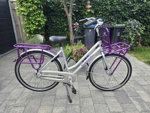 Super nette Gazelle Heavy Duty  D54