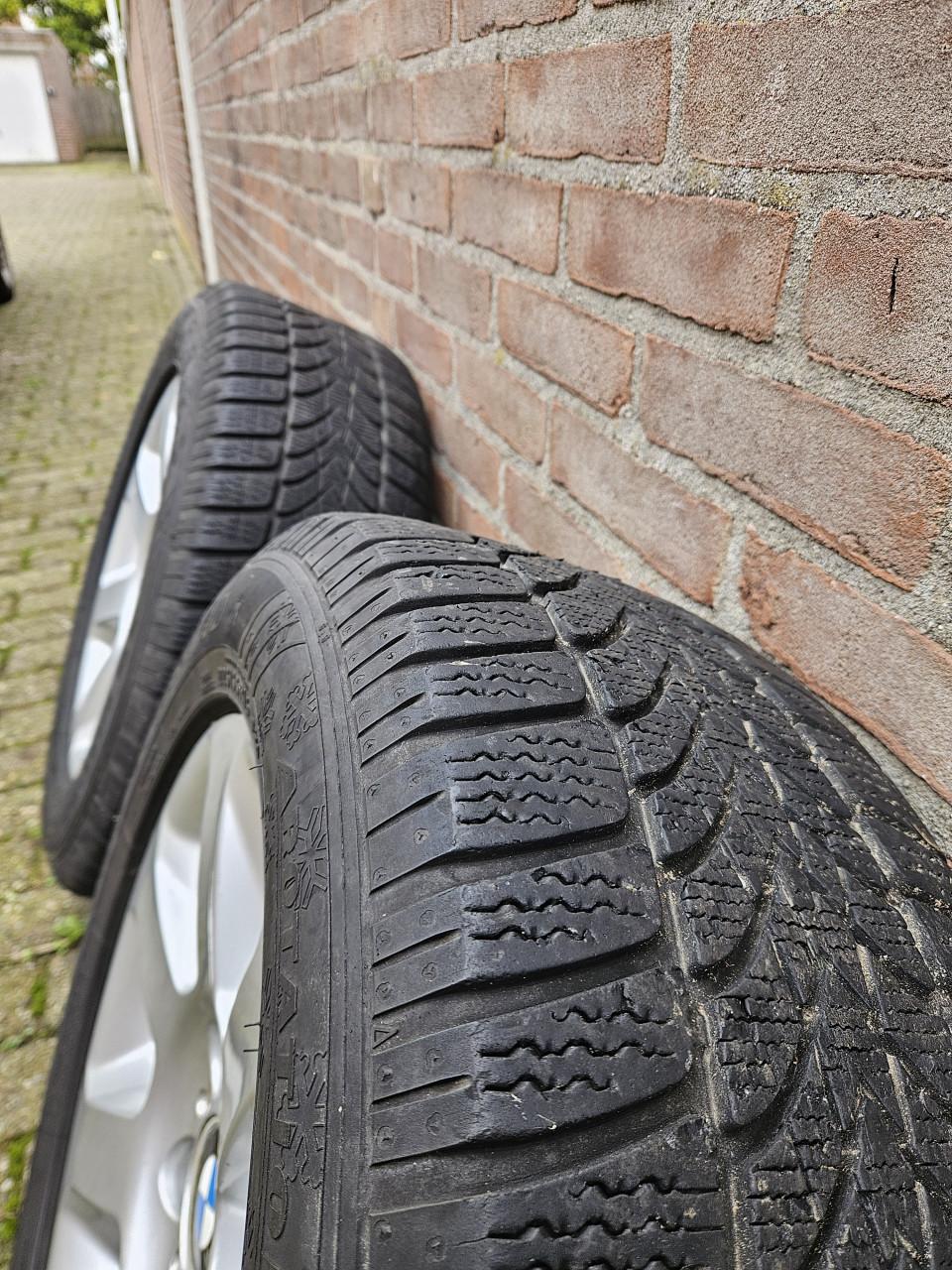 BMW Styling 115 Winterwielen