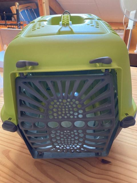 Reismand kleine huisdieren