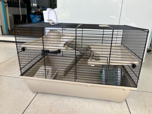 Hamsterkooi met zaagsel