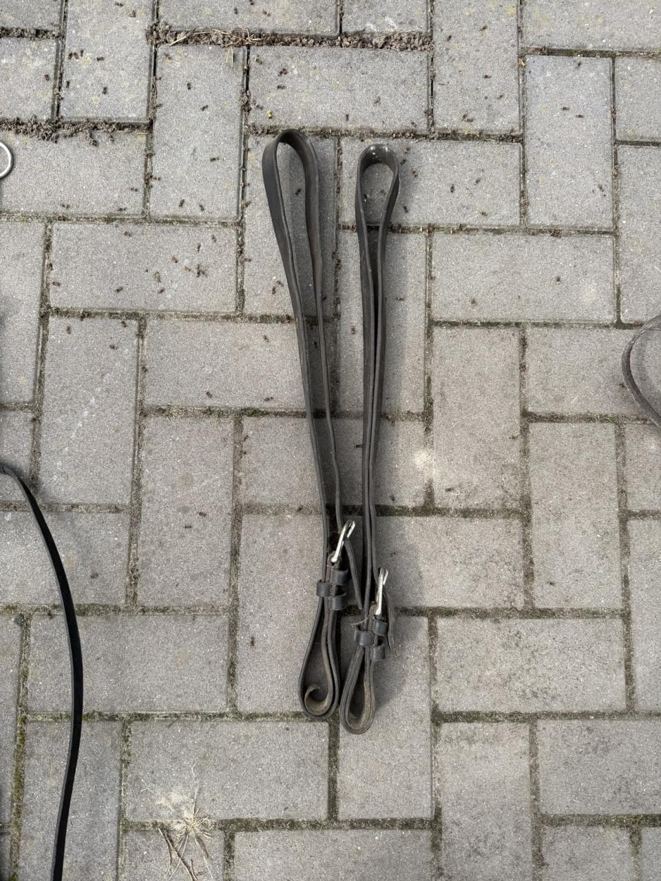 2x enkelspan ponytuig + enkel en tweespan paardentuig