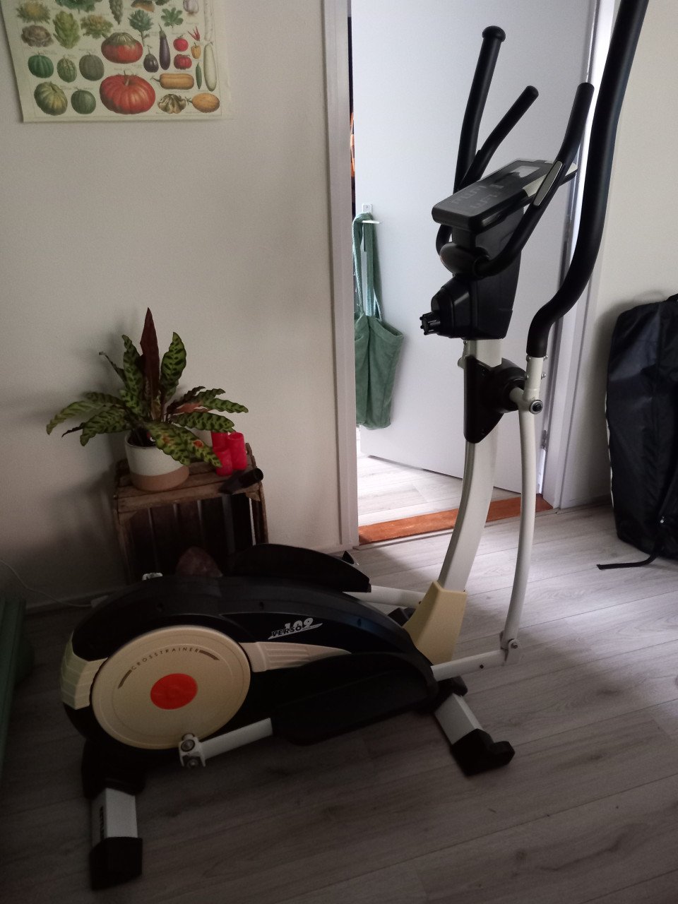 Crosstrainer