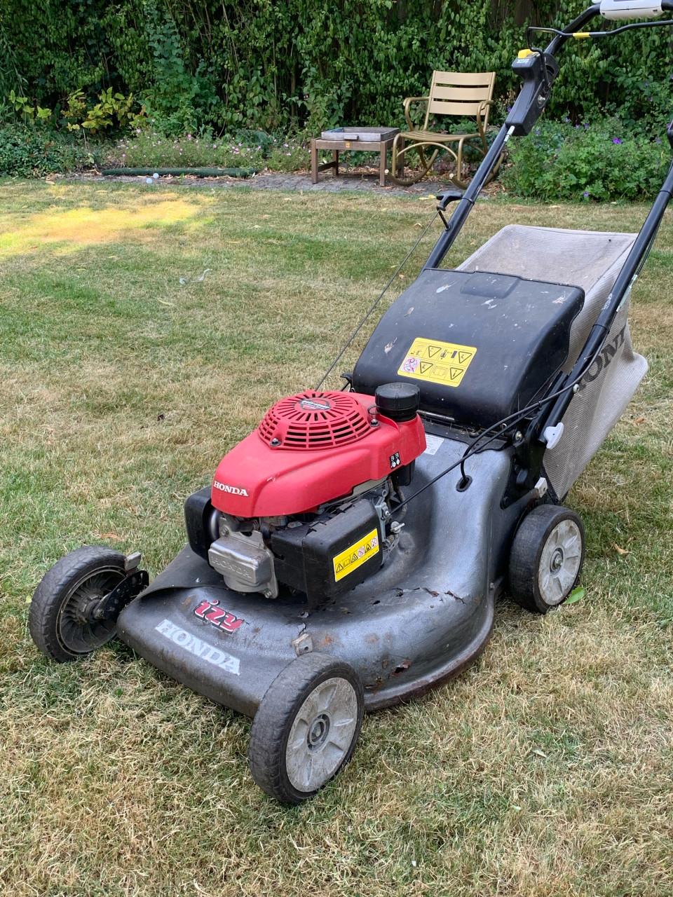Honda Izy hrg 536 53 cm zelfrijdend