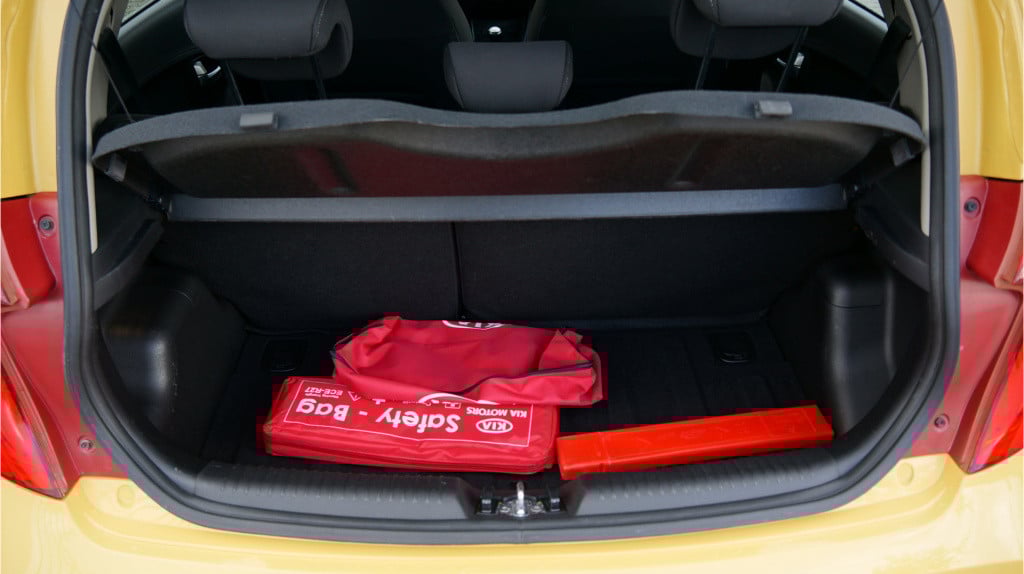 Kia Picanto 1.0 cvvt dynamicline rijklaar incl garantie