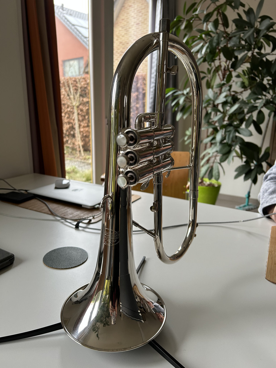 Bugel Manchester Brass te koop